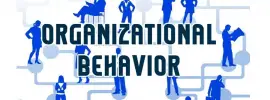 Organizational Behaviour