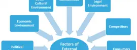 external environment factors