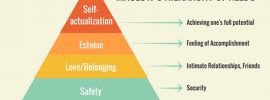 Maslows Need Hierarchy theory