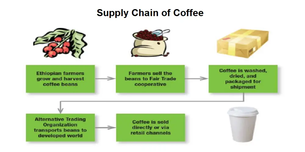 supply chain of coffee