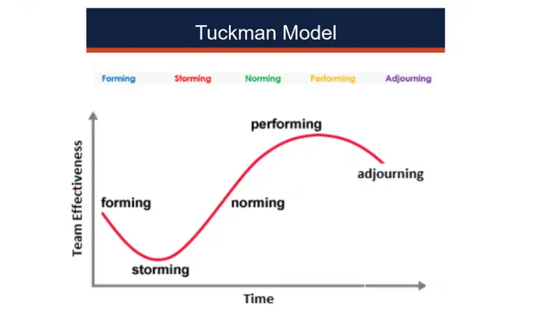 Tuckman S Theory Various Stages Of Group Development Ba Theories